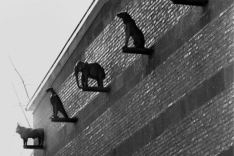 Black and white photograph, bronze animal sculptures on the brick façade of today's Federal Audit Office.