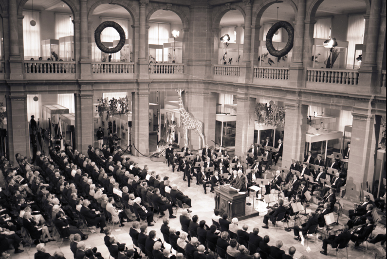 Schwarzweiß-Fotografie, Blick auf die große säulengesäumte Halle des Museum Koenig, feierlich gekleidetes Publikum in der linken Bildhälfte, rechts ein Orchester.