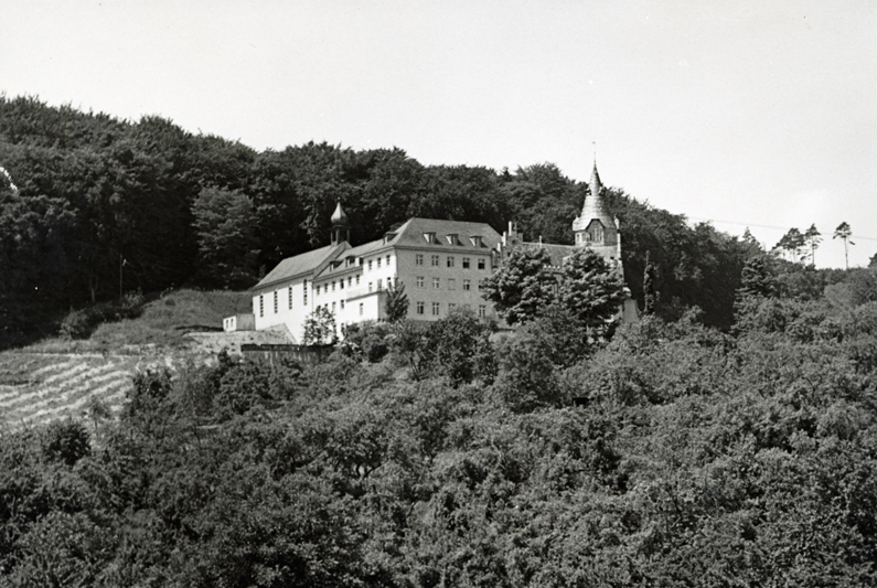 Burgähnliches Gebäude mit Wohntrakt, Turm und Kapelle, rundherum Wald und Wiese.