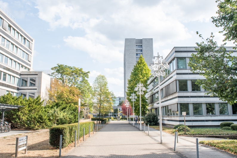 Zugangsweg zum Bonner Tulpenfeld aus Richtung der Heussallee mit Blick auf die typischen Atriumbauten und das 18-stöckige Hochhaus, zu beiden Seiten Büsche und Bäume, rechts eine auffällige Straßenlaterne.